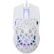 Εικόνα της Ποντίκι White Shark Caradoc RGB White GM-5018