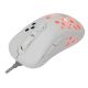 Εικόνα της Ποντίκι White Shark Azrael RGB GM-5013 White