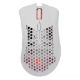 Εικόνα της Ποντίκι White Shark Lionel RGB Wireless White