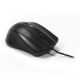 Εικόνα της Ποντίκι Lamtech Wired Black LAM021202