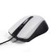 Εικόνα της Ποντίκι Lamtech Wired White LAM021196