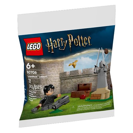 Εικόνα της LEGO Harry Potter: Quidditch Lesson (Polybag) 30706