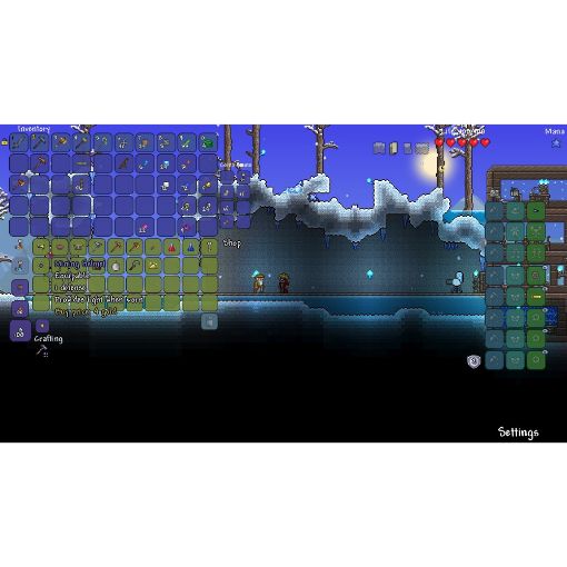 Εικόνα της Terraria Nintendo Switch