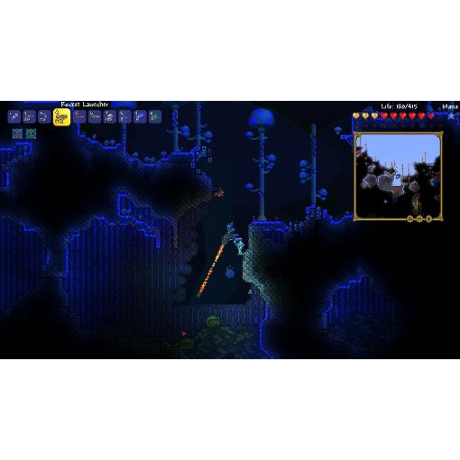 Εικόνα της Terraria Nintendo Switch
