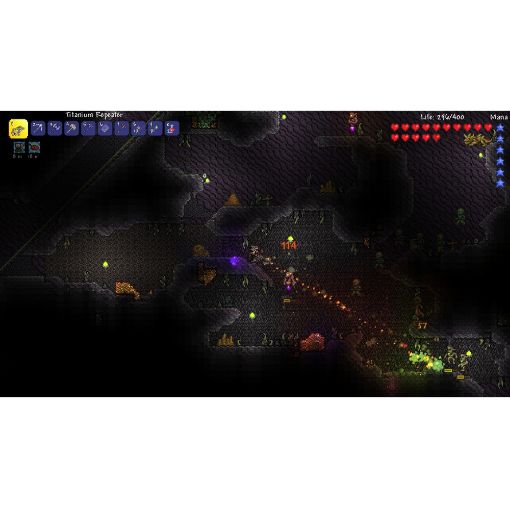 Εικόνα της Terraria Nintendo Switch