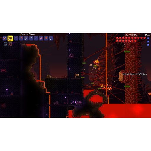 Εικόνα της Terraria Nintendo Switch