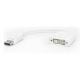 Εικόνα της Adapter Powertech DisplayPort Male to DVI 24+5 Female White CAB-DP005