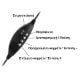 Εικόνα της Headset Lamtech USB με Mic Noise Cancelling Black LAM113072