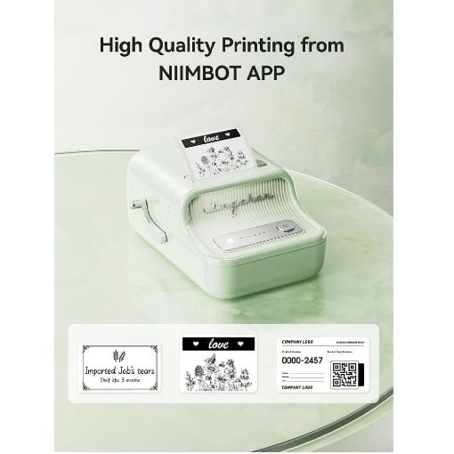 Εικόνα της Εκτυπωτής Ετικετών Niimbot B21S Bluetooth Mint Green