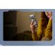 Εικόνα της Smartphone Xiaomi Poco M8 Pro 5G NFC Dual Sim 8GB 256GB Green MZB0MLKEU