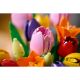 Εικόνα της LEGO Botanicals: Tulip Bouquet 11501