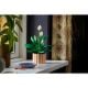 Εικόνα της LEGO Botanicals: Peace Lily 11504