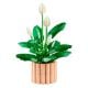 Εικόνα της LEGO Botanicals: Peace Lily 11504