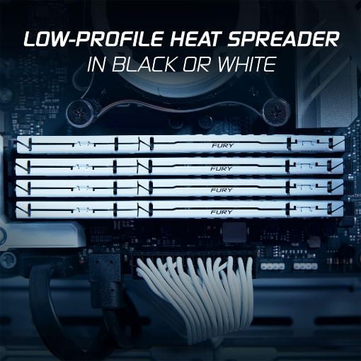 Εικόνα της Ram Kingston Fury Beast 16GB DDR5-5600MHz CL36 White KF556C36BWE-16