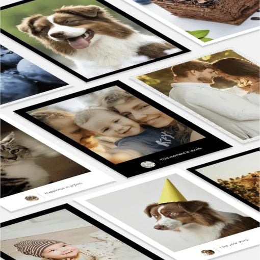Εικόνα της Portable Photo Printer Xiaomi Pro BHR082QGL