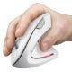 Εικόνα της Ποντίκι Trust Verto Wireless White 25132
