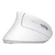 Εικόνα της Ποντίκι Trust Verto Wireless White 25132