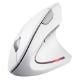 Εικόνα της Ποντίκι Trust Verto Wireless White 25132
