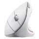 Εικόνα της Ποντίκι Trust Verto Wireless White 25132
