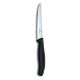 Εικόνα της Μαχαίρι Victorinox Swiss Classic Steak Knife 11cm 6.7203