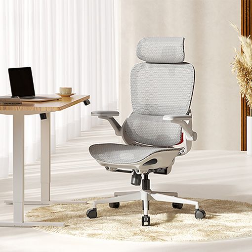 Εικόνα της Καρέκλα Γραφείου Sihoo B100 Pro Ergonomic Grey White B100-PRO-M102