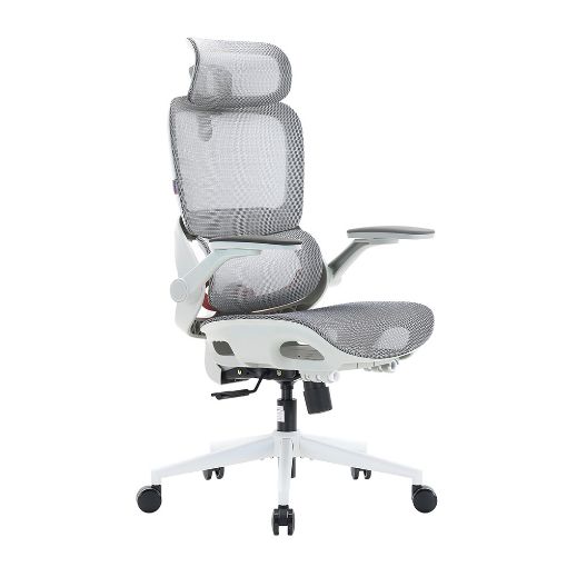 Εικόνα της Καρέκλα Γραφείου Sihoo B100 Pro Ergonomic Grey White B100-PRO-M102