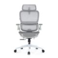 Εικόνα της Καρέκλα Γραφείου Sihoo B100 Pro Ergonomic Grey White B100-PRO-M102