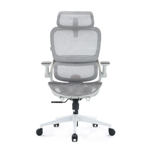 Εικόνα της Καρέκλα Γραφείου Sihoo B100 Pro Ergonomic Grey White B100-PRO-M102