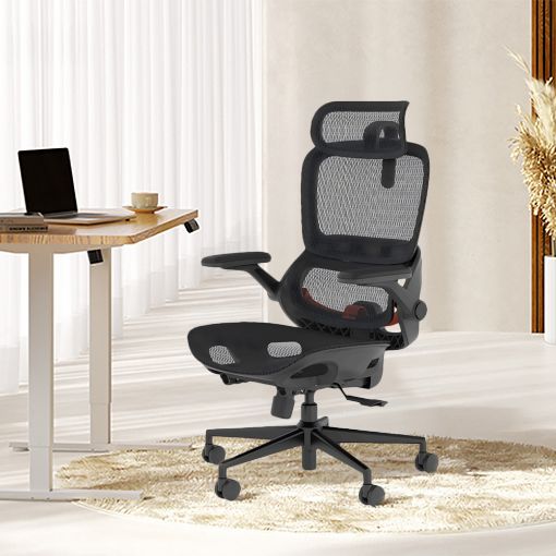 Εικόνα της Καρέκλα Γραφείου Sihoo B100 Pro Ergonomic Black B100-PRO-M101