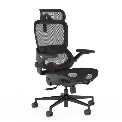 Εικόνα της Καρέκλα Γραφείου Sihoo B100 Pro Ergonomic Black B100-PRO-M101