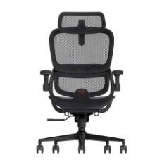 Εικόνα της Καρέκλα Γραφείου Sihoo B100 Pro Ergonomic Black B100-PRO-M101