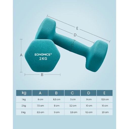 Εικόνα της Σετ Βαράκια Songmics με Βάση 1kg/2kg/3 kg 6τμχ MultiColor SYL612GN
