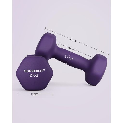 Εικόνα της Σετ Βαράκια Songmics 2 x 2kg Purple SYL64PL