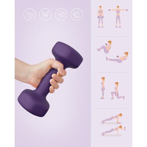 Εικόνα της Σετ Βαράκια Songmics 2 x 2kg Purple SYL64PL
