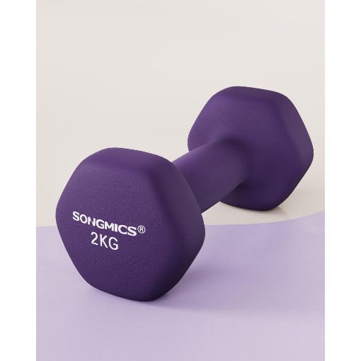 Εικόνα της Σετ Βαράκια Songmics 2 x 2kg Purple SYL64PL