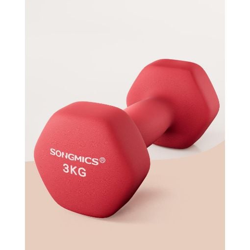Εικόνα της Σετ Βαράκια Songmics 2 x 3kg Red SYL66RD