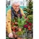 Εικόνα της Επιτραπέζια Εστία Φωτιάς Tenderflame Lilly 10 10x11.5cm 300ml Copper TF-600089