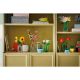Εικόνα της LEGO Botanicals: Daisies 11508