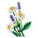 Εικόνα της LEGO Botanicals: Daisies 11508