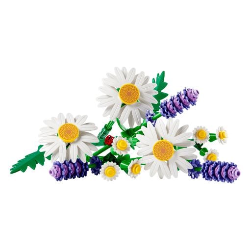 Εικόνα της LEGO Botanicals: Daisies 11508