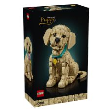 Εικόνα της LEGO Icons: Golden Retriever Puppy 11384