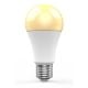 Εικόνα της Smart Lamp E27 Woox R9077 Zigbee RGB+CCT 806lm 10W White