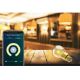 Εικόνα της Smart Lamp E27 Woox R9078 Filament 650lm 6W Gold