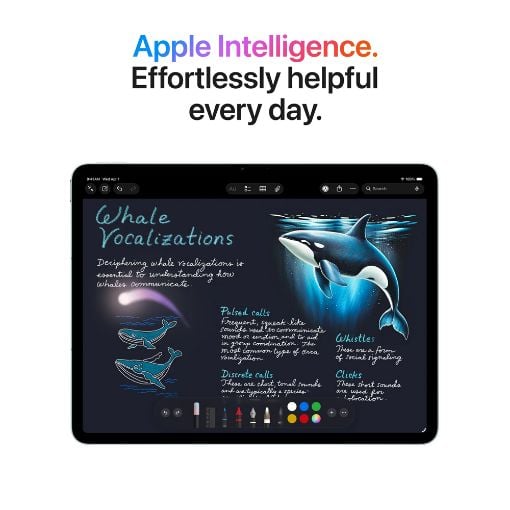 Εικόνα της Apple iPad Air 13" Wi-Fi 256GB (M4) Space Grey MH5U4TY/A