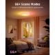 Εικόνα της Govee Round Smart Ceiling Light RGBWW + RGBIC Wi-Fi/Bluetooth 12" H80A1