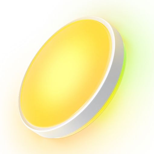 Εικόνα της Govee Round Smart Ceiling Light RGBWW + RGBIC Wi-Fi/Bluetooth 12" H80A1