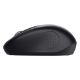 Εικόνα της Ποντίκι Trust Primo Wireless Black 24966