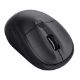 Εικόνα της Ποντίκι Trust Primo Wireless Black 24966