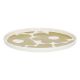 Εικόνα της Πιάτο Ρηχό Estia Beige Bloom Πορσελάνινο 27cm White/Beige 07-38946
