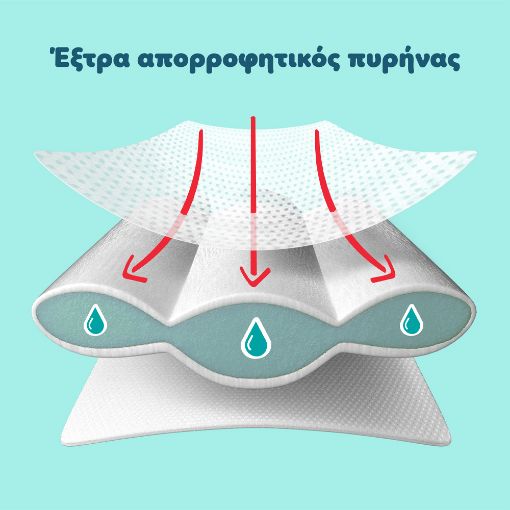 Εικόνα της Πάνες με Αυτοκόλλητο Pampers Premium Care No.3 (6-10kg) Monthly Pack 216τμχ